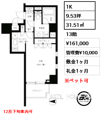 1K 31.51㎡  賃料¥161,000 管理費¥10,000 敷金1ヶ月 礼金1ヶ月 12月下旬案内可