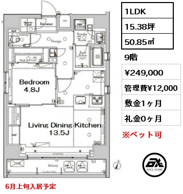間取り3 1LDK 50.85㎡ 9階 賃料¥249,000 管理費¥12,000 敷金1ヶ月 礼金0ヶ月 6月上旬入居予定