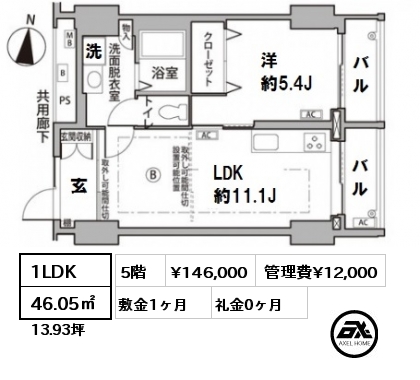 間取り3 1LDK 46.05㎡ 5階 賃料¥146,000 管理費¥12,000 敷金1ヶ月 礼金0ヶ月