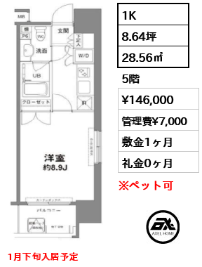 間取り3 1K 28.56㎡  賃料¥146,000 管理費¥7,000 敷金1ヶ月 礼金0ヶ月 1月下旬入居予定