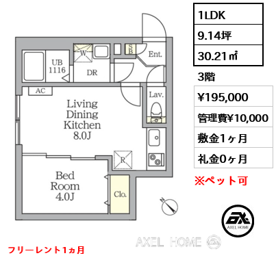 1LDK 30.21㎡  賃料¥195,000 管理費¥10,000 敷金1ヶ月 礼金0ヶ月 フリーレント1ヵ月