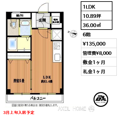 間取り3 1LDK 36.00㎡  賃料¥135,000 管理費¥8,000 敷金1ヶ月 礼金1ヶ月 3月上旬入居予定