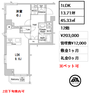 間取り3 1LDK 45.33㎡  賃料¥203,000 管理費¥12,000 敷金1ヶ月 礼金0ヶ月 2月下旬案内可　