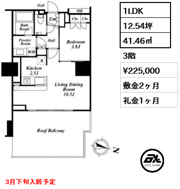間取り3 1LDK 41.46㎡  賃料¥225,000 敷金2ヶ月 礼金1ヶ月 3月下旬入居予定