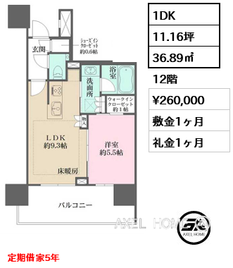 間取り3 1DK 36.89㎡  賃料¥260,000 敷金1ヶ月 礼金1ヶ月 定期借家5年　