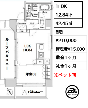 間取り3 1LDK 42.45㎡  賃料¥210,000 管理費¥15,000 敷金1ヶ月 礼金1ヶ月 　
