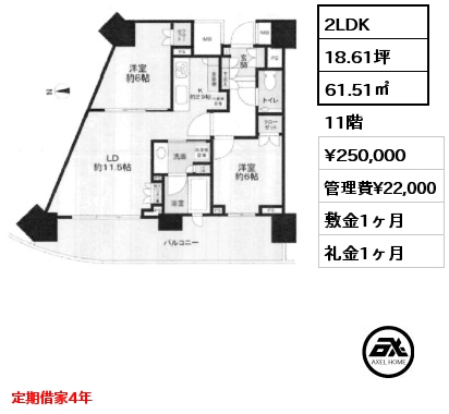 2LDK 61.51㎡ 11階 賃料¥250,000 管理費¥22,000 敷金1ヶ月 礼金1ヶ月 定期借家4年