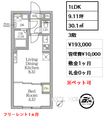 1LDK 30.1㎡  賃料¥193,000 管理費¥10,000 敷金1ヶ月 礼金0ヶ月 フリーレント1ヵ月