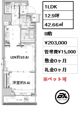 1LDK 42.66㎡ 8階 賃料¥203,000 管理費¥15,000 敷金0ヶ月 礼金0ヶ月