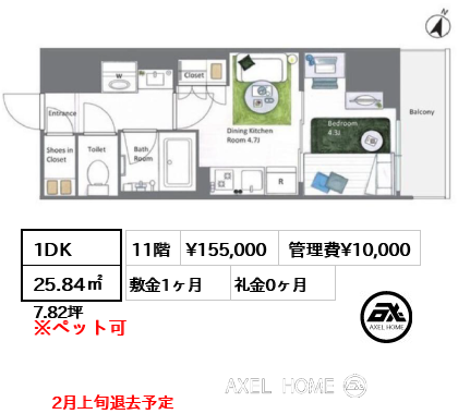 1DK 25.84㎡  賃料¥155,000 管理費¥10,000 敷金1ヶ月 礼金0ヶ月 2月上旬退去予定