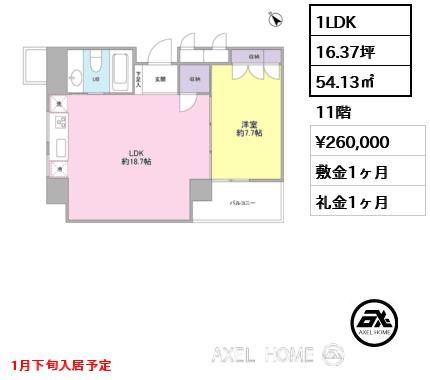 1LDK 54.13㎡  賃料¥260,000 敷金1ヶ月 礼金1ヶ月 1月下旬入居予定