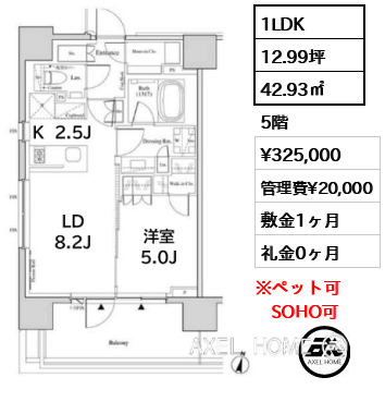 1LDK 42.93㎡  賃料¥325,000 管理費¥20,000 敷金1ヶ月 礼金0ヶ月