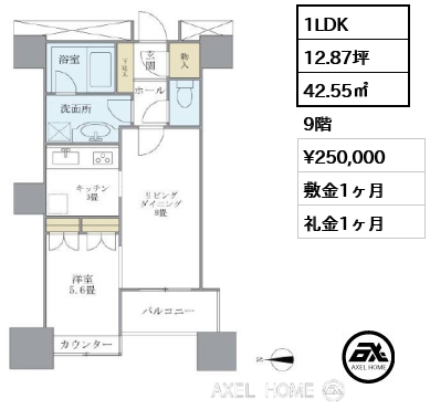1LDK 42.55㎡  賃料¥250,000 敷金1ヶ月 礼金1ヶ月