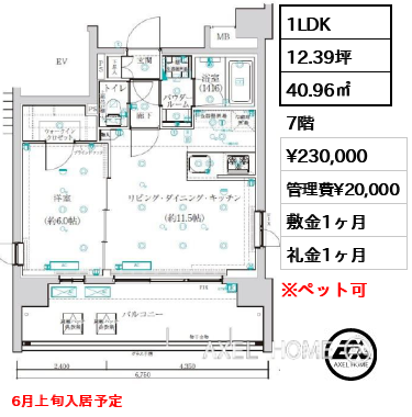 1LDK 40.96㎡  賃料¥230,000 管理費¥20,000 敷金1ヶ月 礼金1ヶ月 6月上旬入居予定