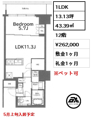 1LDK 43.39㎡ 12階 賃料¥262,000 敷金1ヶ月 礼金1ヶ月 5月上旬入居予定