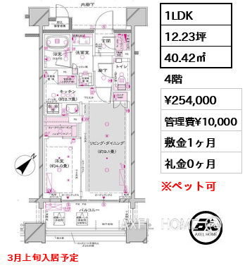 1LDK 40.42㎡  賃料¥254,000 管理費¥10,000 敷金1ヶ月 礼金0ヶ月 3月上旬入居予定