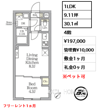 1LDK 30.1㎡  賃料¥197,000 管理費¥10,000 敷金1ヶ月 礼金0ヶ月 フリーレント1ヵ月