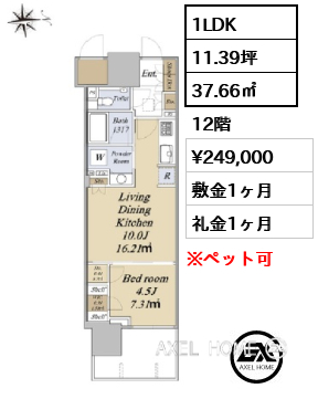 1LDK 37.66㎡  賃料¥249,000 敷金1ヶ月 礼金1ヶ月