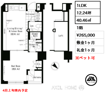1LDK 40.46㎡  賃料¥265,000 敷金1ヶ月 礼金1ヶ月 4月上旬案内予定