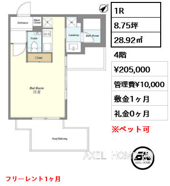1R 28.92㎡  賃料¥205,000 管理費¥10,000 敷金1ヶ月 礼金0ヶ月 フリーレント1ヶ月