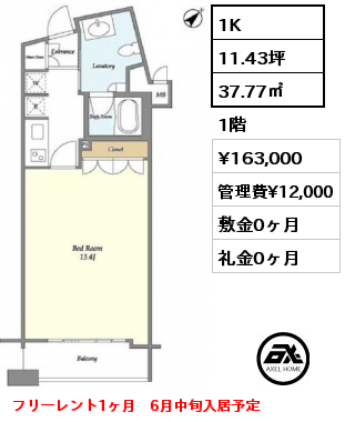 1K 37.77㎡ 1階 賃料¥163,000 管理費¥12,000 敷金0ヶ月 礼金0ヶ月 フリーレント1ヶ月　6月中旬入居予定
