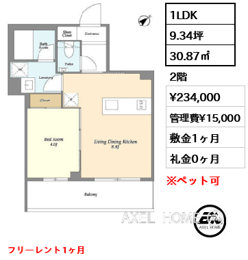 1LDK 30.87㎡  賃料¥234,000 管理費¥15,000 敷金1ヶ月 礼金0ヶ月 フリーレント1ヶ月