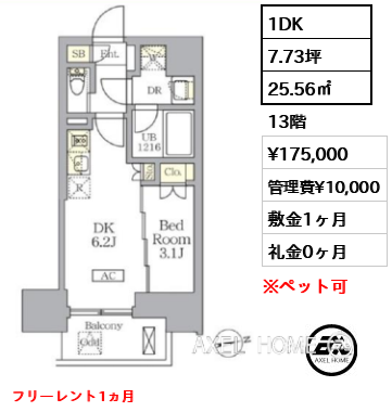 1DK 25.56㎡  賃料¥175,000 管理費¥10,000 敷金1ヶ月 礼金0ヶ月 フリーレント1ヵ月　