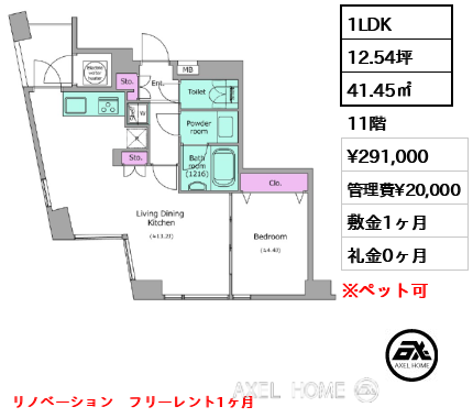 1LDK 41.45㎡  賃料¥291,000 管理費¥20,000 敷金1ヶ月 礼金0ヶ月 リノベーション　フリーレント1ヶ月