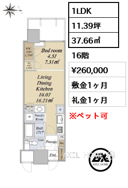 1LDK 37.66㎡  賃料¥260,000 敷金1ヶ月 礼金1ヶ月