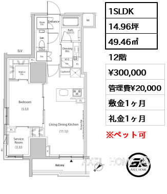 1SLDK 49.46㎡  賃料¥300,000 管理費¥20,000 敷金1ヶ月 礼金1ヶ月