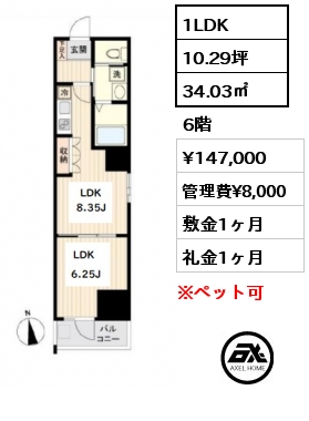 間取り4 1LDK 34.03㎡ 6階 賃料¥147,000 管理費¥8,000 敷金1ヶ月 礼金1ヶ月