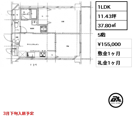 間取り4 1LDK 37.80㎡ 5階 賃料¥155,000 敷金1ヶ月 礼金1ヶ月 3月下旬入居予定