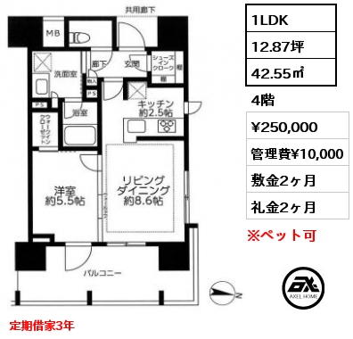間取り4  4階 賃料¥275,000 敷金2ヶ月 礼金2ヶ月 定期借家3年