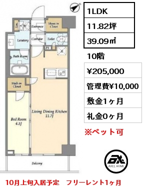 1LDK 39.09㎡ 10階 賃料¥205,000 管理費¥10,000 敷金1ヶ月 礼金0ヶ月 10月上旬入居予定　フリーレント1ヶ月