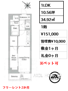 1LDK 34.92㎡  賃料¥151,000 管理費¥10,000 敷金1ヶ月 礼金0ヶ月 フリーレント2か月
