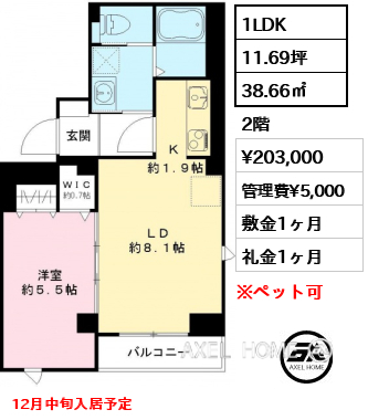 1LDK 38.66㎡  賃料¥203,000 管理費¥5,000 敷金1ヶ月 礼金1ヶ月 12月中旬入居予定