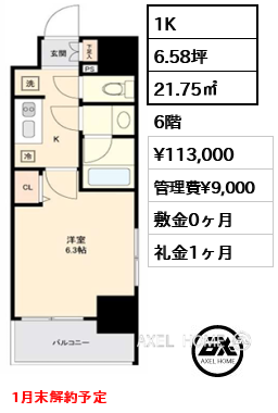 1K 21.75㎡  賃料¥113,000 管理費¥9,000 敷金0ヶ月 礼金1ヶ月 1月末解約予定