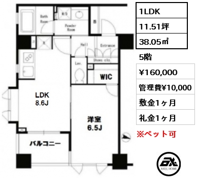 間取り4 1LDK 38.05㎡ 5階 賃料¥160,000 管理費¥10,000 敷金1ヶ月 礼金1ヶ月 　