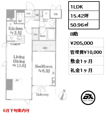 1LDK 50.96㎡ 8階 賃料¥205,000 管理費¥10,000 敷金1ヶ月 礼金1ヶ月 6月下旬案内可