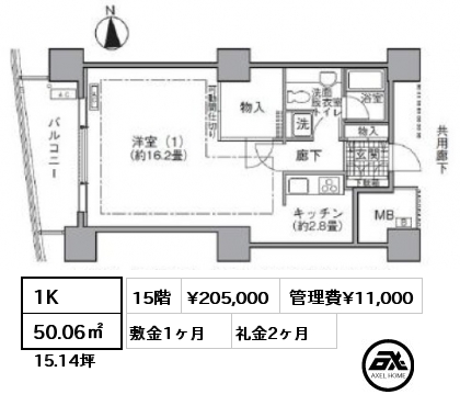 1K 50.06㎡ 15階 賃料¥205,000 管理費¥11,000 敷金1ヶ月 礼金2ヶ月
