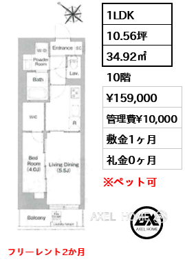 1LDK 34.92㎡  賃料¥159,000 管理費¥10,000 敷金1ヶ月 礼金0ヶ月 フリーレント2か月