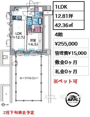 1LDK 42.36㎡  賃料¥255,000 管理費¥15,000 敷金0ヶ月 礼金0ヶ月 2月下旬退去予定