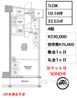 1LDK 33.53㎡  賃料¥230,000 管理費¥25,000 敷金1ヶ月 礼金1ヶ月 3月末退去予定