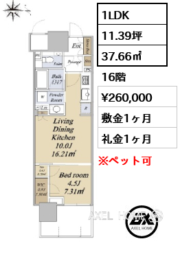 1LDK 37.66㎡  賃料¥260,000 敷金1ヶ月 礼金1ヶ月