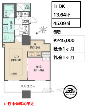 1LDK 45.09㎡  賃料¥245,000 敷金1ヶ月 礼金1ヶ月 12月中旬解約予定