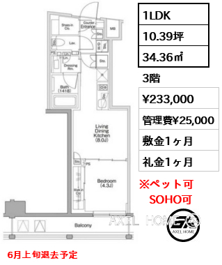 1LDK 34.36㎡  賃料¥233,000 管理費¥25,000 敷金1ヶ月 礼金1ヶ月 6月上旬退去予定