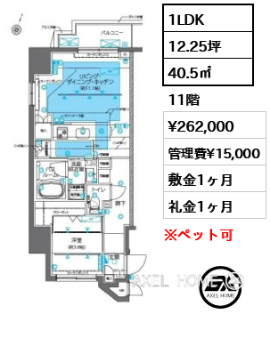 1LDK 40.5㎡  賃料¥262,000 管理費¥15,000 敷金1ヶ月 礼金1ヶ月