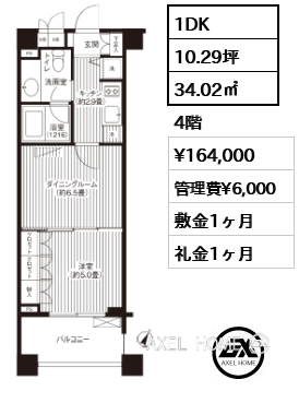 1DK 34.02㎡  賃料¥164,000 管理費¥6,000 敷金1ヶ月 礼金1ヶ月