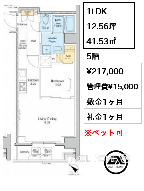 1LDK 41.53㎡ 賃料¥217,000 管理費¥15,000 敷金1ヶ月 礼金1ヶ月