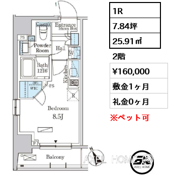 1R 25.91㎡  賃料¥160,000 敷金1ヶ月 礼金0ヶ月